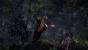 The Witcher 3: Wild Hunt (32)