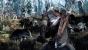 The Witcher 3: Wild Hunt (42)