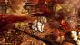 Far Cry 4 (10)