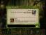 Utopolis: Chat