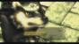 The Legend of Zelda: Twilight Princess HD (3)