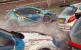 Dirt Rally im Gamezone-Test (1)
