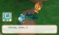 Pokémon Super Mystery Dungeon (18)