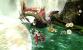 Monster Hunter Generations (1)
