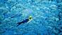 Abzû (Giant Squid)