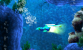 Sonic Boom: Feuer und Eis (25)