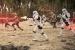 Rogue One - A Star Wars Story: düster, dreckig, grandios - unser Spoiler-freies Film-Fazit. (7)