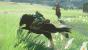 The Legend of Zelda: Breath of the Wild - Auf dem PC jetzt in noch kräftigeren Farben (6)