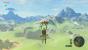 Der Paragleiter, den wir schon sehr früh erhalten, ist ein unerlässlicher Helfer auf unserer Reise durch die weite Welt von Hyrule.