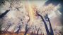Essence im Early-Access-Test: Reise in eine vergessene Traumwelt (4)