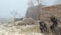 Aktuelle Screenshots aus Metal Gear Survive. (13)