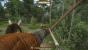 Kingdom Come: Deliverance im Test