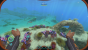 Das Survival-Spiel Subnautica ist in den Steam-Charts eingeschlagen wie eine Bombe. Deshalb wollen wir euch unsere Einsteigertipps zum Spiel von Unknown Worlds Entertainment nicht vorenthalten. (13)