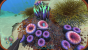 Das Survival-Spiel Subnautica ist in den Steam-Charts eingeschlagen wie eine Bombe. Deshalb wollen wir euch unsere Einsteigertipps zum Spiel von Unknown Worlds Entertainment nicht vorenthalten. (28)
