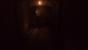 Screenshots aus Lust for Darkness. Das Horror-Abenteuer erscheint im zweiten Quartal 2018. (2)