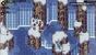 Crosscode im Test (15)