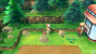 Auf Route 4 entdecken wir neben dem Pokémon-Center ein Fluchtseil.
