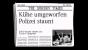 Purpur-Tentakel taucht nach seiner Flucht kaum noch im Spiel auf. Nur diese Zeitungsartikel informieren euch über sein Treiben. Die kurzen Einblendungen untermalt das Spiel mit der Fanfare der Batman-TV-Serie aus den 1980ern.