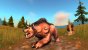 Zum Launch von World of Warcraft Classic gibt es auch deutsche Realms. (8)