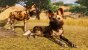Planet Zoo in der E3-Vorschau (2).