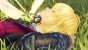 Wie es sich für ein Japano-RPG gehört, erwartet uns eine epische Handlung, die unseren Helden Shulk von simplen Anfängen hin bis zur Rettung der Welt führt. (1)