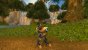 Das Update 8.3 für World of Warcraft hat neue Rassen und einen weiteren Raid zu bieten. (8)
