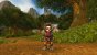 Das Update 8.3 für World of Warcraft hat neue Rassen und einen weiteren Raid zu bieten. (7)
