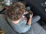 Google Stadia: Review - Spiele-Streaming im Test - wie gut ist Stadia wirklich? (5)