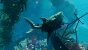 Maneater: Maneater in der Hands-on-Vorschau: Dieser Hai hat euch zum Fressen gern! (5)