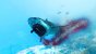 Maneater: Maneater in der Hands-on-Vorschau: Dieser Hai hat euch zum Fressen gern! (13)