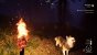 Wer nachts nicht schläft und sich im Wald herumtreibt, bekommt es öfters mal mit Wölfen oder Ebern zu tun.