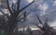 Okay, jetzt wird’s morbide. Aber oft sind es Details wie diese, die die notwendige Horror-Atmosphäre generierten. Deshalb unser Wunsch für den Nachfolger: Gerne mehr davon! <br> &nbsp;