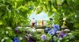 Pikmin 3 Deluxe: Ein gelungenes Remaster? Das einzigartige Nintendo-Spiel mit dem Wuselfaktor im Test (1)