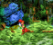 Dream (SNES)