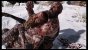 God of War (3)