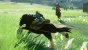 Kämpfe sind ein wichtiger, actionreicher Bestandteil der Zelda-Games (hier zu Pferde in Breath of the Wild). Aber auch ruhige Puzzle-Abschnitte gehören fest dazu.
