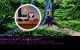 Mal kurz die LucasArts-Hotline anrufen: Das Designtrio bestehend aus Ron Gilbert, Tim Schafer und Dave Grossman ließ es sich auch in Monkey Island 2: LeChuck’s Revenge nicht nehmen, augenzwinkernde Easter Eggs einzubauen.