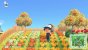 In Animal Crossing New Horizons neues Gemüse anbauen? - Mit diesen Tipps findet ihr Gerd und holt euch Tomaten, Kartoffeln und mehr