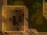 Mein erstes Mal Tibia - Eine MMO-Entjungerfung (4)