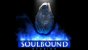 Soulbound Studios hatte das Zeug zu einem guten Entwickler – wenn sich das Studio mit Chronicles of Elyria nicht absolut hoffnungslos übernommen hätte.<br> &nbsp;