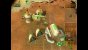 Dune 2000 (Playstation)
