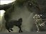 Shadow of the Colossus