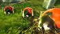 <strong>Smalland:</strong> Beliebter Survival-Hit kommt auf Nintendo Switch 2 (2)