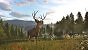 Die Jagdsimulation Way of the Hunter 2 ist im Early Access gestartet.