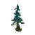 Zul Aman Pine Tree
