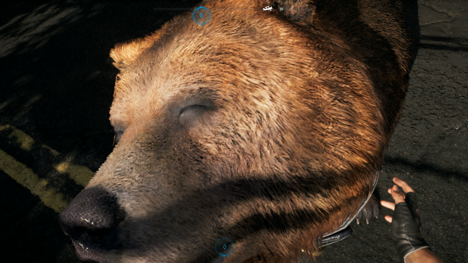 Auch ein Bär wie Cheeseburger braucht gelegentlich seine Streicheleinheiten. Diese sind eine schöne Abwechslung zum ansonsten sehr actionreichen Gameplay von Far Cry 5. <br> &nbsp;