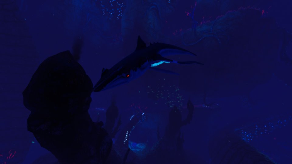 Krakenhai