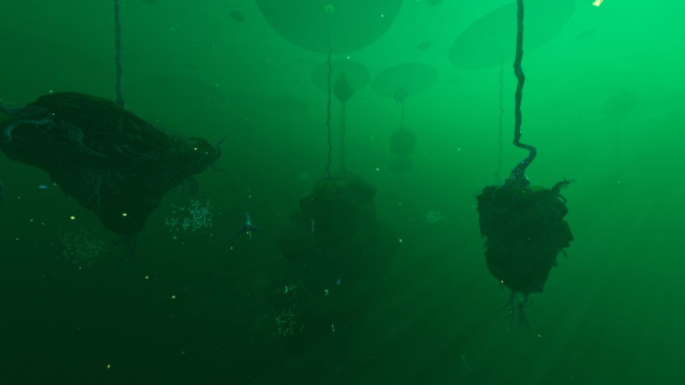 Lilypad Islands