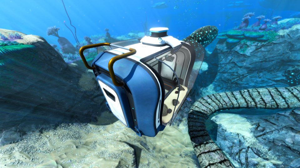 <strong>Das Aquariumabteil </strong>