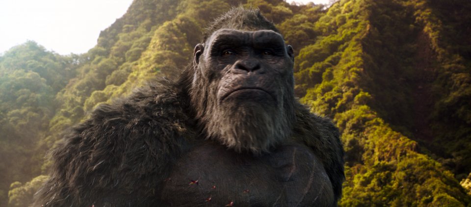Filmkritik zu Godzilla vs. Kong: Endlich wieder großes Kino? (1)